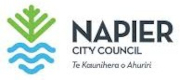 Napier City Council Logo Napier City Council Logo